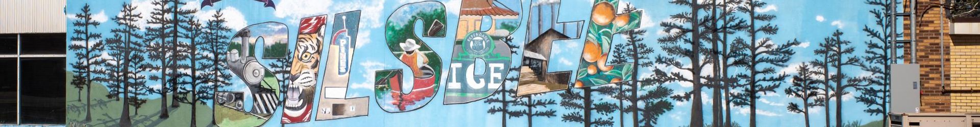 Silsbee, TX Shutterstock 2446183541 Cropped