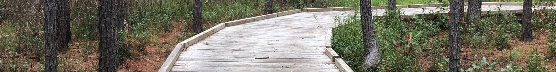 Kountze, TX Shutterstock 734093500 Cropped