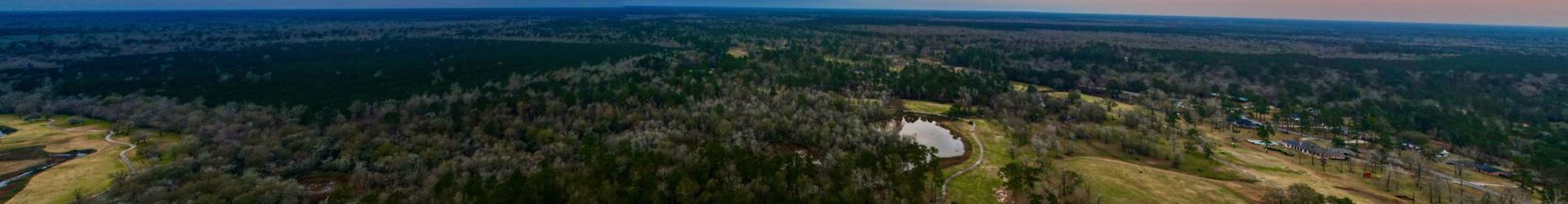 Sour Lake Shutterstock 2103533483 Cropped